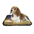 thumbnail image 2 of PKQWTM Hay Bales in the Night Mystic Auumn Scenery Pet Dog Cat Bed Pee Pads Mat Cushion Potty Dogsblankets Crate Bed Kennel 25x30 inch, 2 of 3