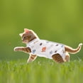 thumbnail image 4 of 2 Pieces Kitten Cat Recovery Suit Soft Breathable Kitten Recovery Shirt Prevent Licking Skin Abdomen Recovery Collar Alternative for Cats Dogs Kitten (Donuts+Football) S, 4 of 7