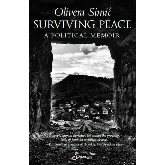 Surviving Peace : A Political Memoir (Paperback)