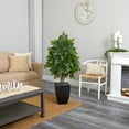 thumbnail image 3 of Nearly Natural 57" River Birch Artificial Tree in Black Planter, 3 of 3