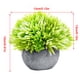 thumbnail image 2 of Planta de bola en maceta artificial Mesa para el hogar Escritorio Decoración de planta falsa Hierba de bola de plástico con maceta de papel, Verde claro Scienceny HA6791-05B, 2 of 6