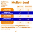 thumbnail image 5 of HealthFare Mullein Leaf Extract 3000mg | 200 Vegan Capsules | Extra Strength Herbal Supplement | Supports Wellness & Balance | Non-GMO, Gluten-Free | Made in USA, 5 of 7