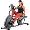 Schwinn Recumbent Bike Series