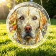 thumbnail image 1 of 7.3 Inch Sun Catchers Indoor Window, Acrylic Rainbow Suncatcher Window Hanging Decoration for Living Room Bedroom Summer Home Balcony Ornaments Decoration, Birthday Gifts for Women, Men, and Mom, 1 of 6