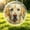 Dog, variant on Animal Series Hanging Puzzles Sun Catcher,7.4 Inch Sun Catcher Acrylic Puzzles,Natural Acrylic Stained Window Hanging for Indoor,2026 Novelty Spring Summer Garden Decoration for Home Decor