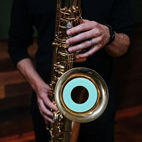 GOOHOCHY Skyblue Silicone Saxophone Mute for Alto Sax Effective Noise Reducer Practice Accessory 1 piece