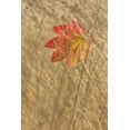 thumbnail image 2 of Paulson, Don 13x18 Gold Ornate Wood Framed with Double Matting Museum Art Print Titled - WA, Seabeck Vine maple leaf caught in fall grass, 2 of 4
