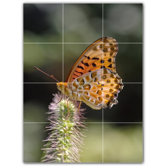 Picture-Tiles.com: Butterfly Ceramic Tile Wall Mural WAL500305-34XL. 36"W x 48"H using (12) 12" x 12" Ceramic Tiles-Satin Finish