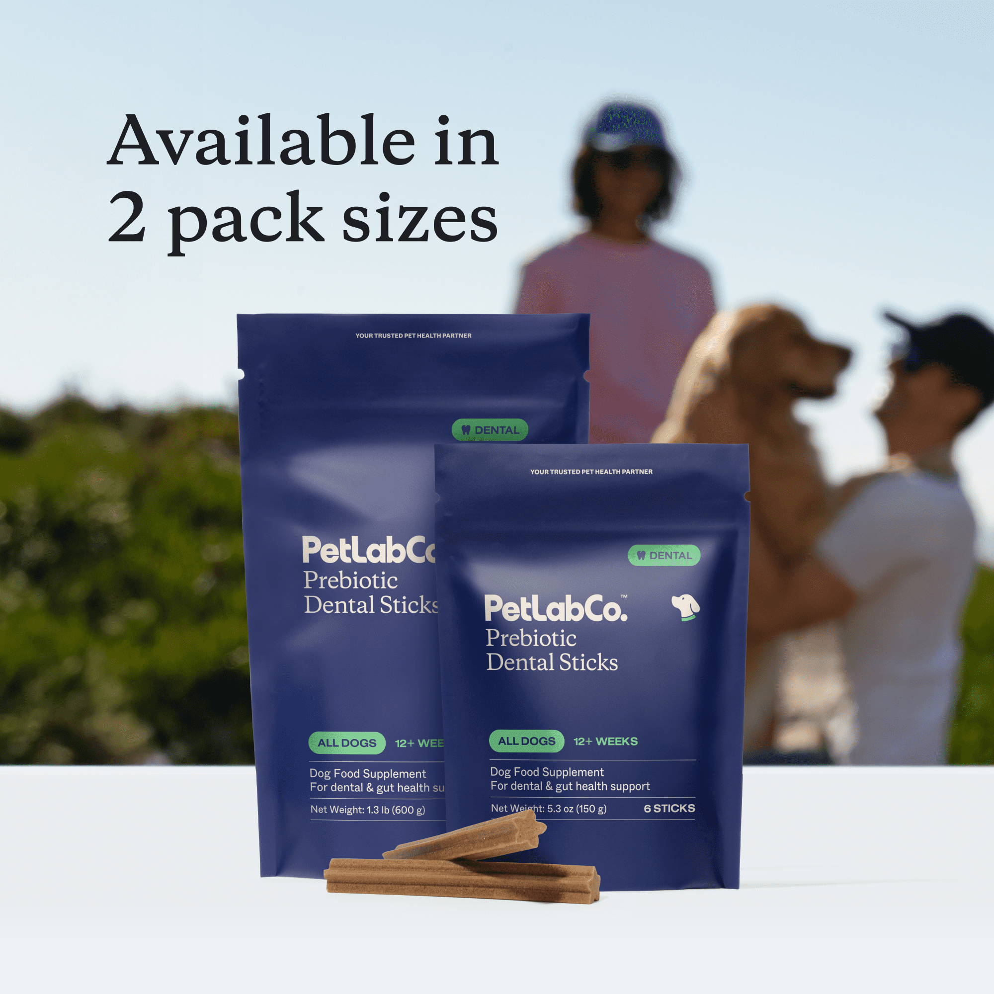 PetLab Co. Prebiotic Dental Stick - Dog Dental Sticks - Target Plaque and Tartar Buid up - Maintain Dog Oral Health and Keep Breath Fresh (24 Sticks)
