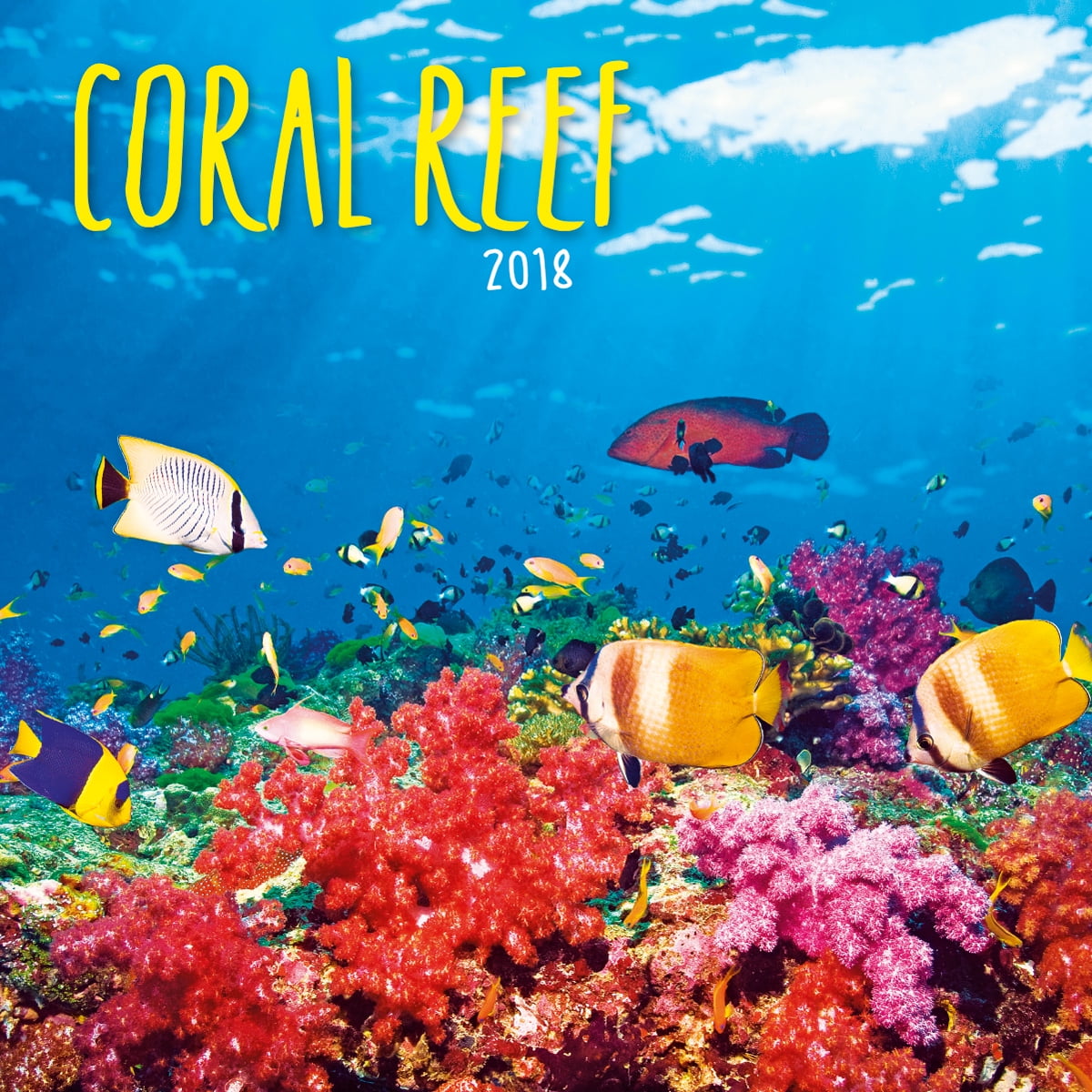 turner licensing coral reef office wall calendar (18998940016