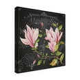 thumbnail image 2 of Trademark Fine Art 'Magnolias 1' Canvas Art by Jean Plout, 2 of 3