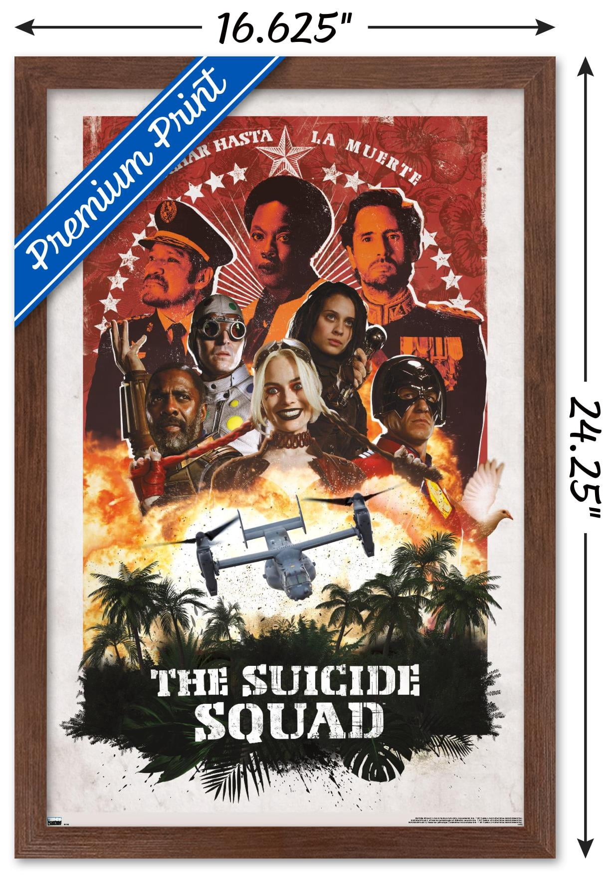 DC Comics Movie The Suicide Squad - Plane Group Wall Poster, 14.725" x 22.375", Framed