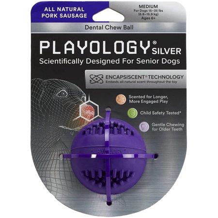 UPC: 0810045330464 | Playology Silver Dental Chew Ball Dog Toy  Medium Senior Dogs
