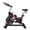 Black+Red, variant on Indoor Exercise Bike Cycling Bike with Comfortable Seat Cushion Black Red