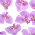 thumbnail image 2 of 20-Pack Artificial Orchid Flower Heads, Silk Faux Butterfly Flowers Head for Decor [2.76", Light Purple], 2 of 7
