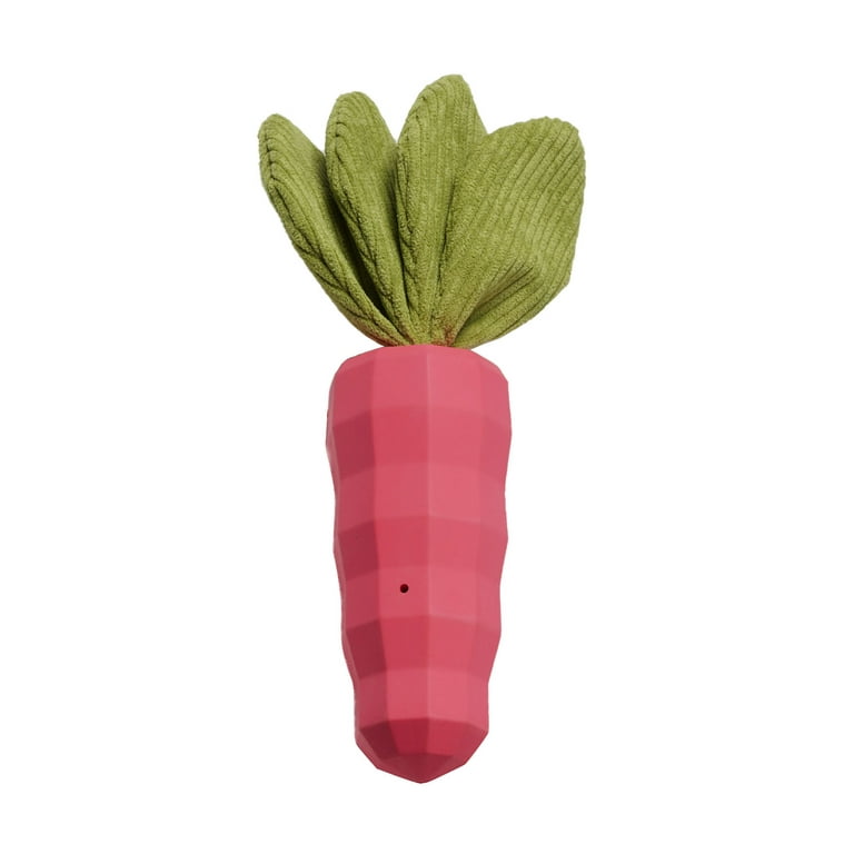Promote Healthy Chewing Habits with Vegetable Shape Sound Dog Toy Chew