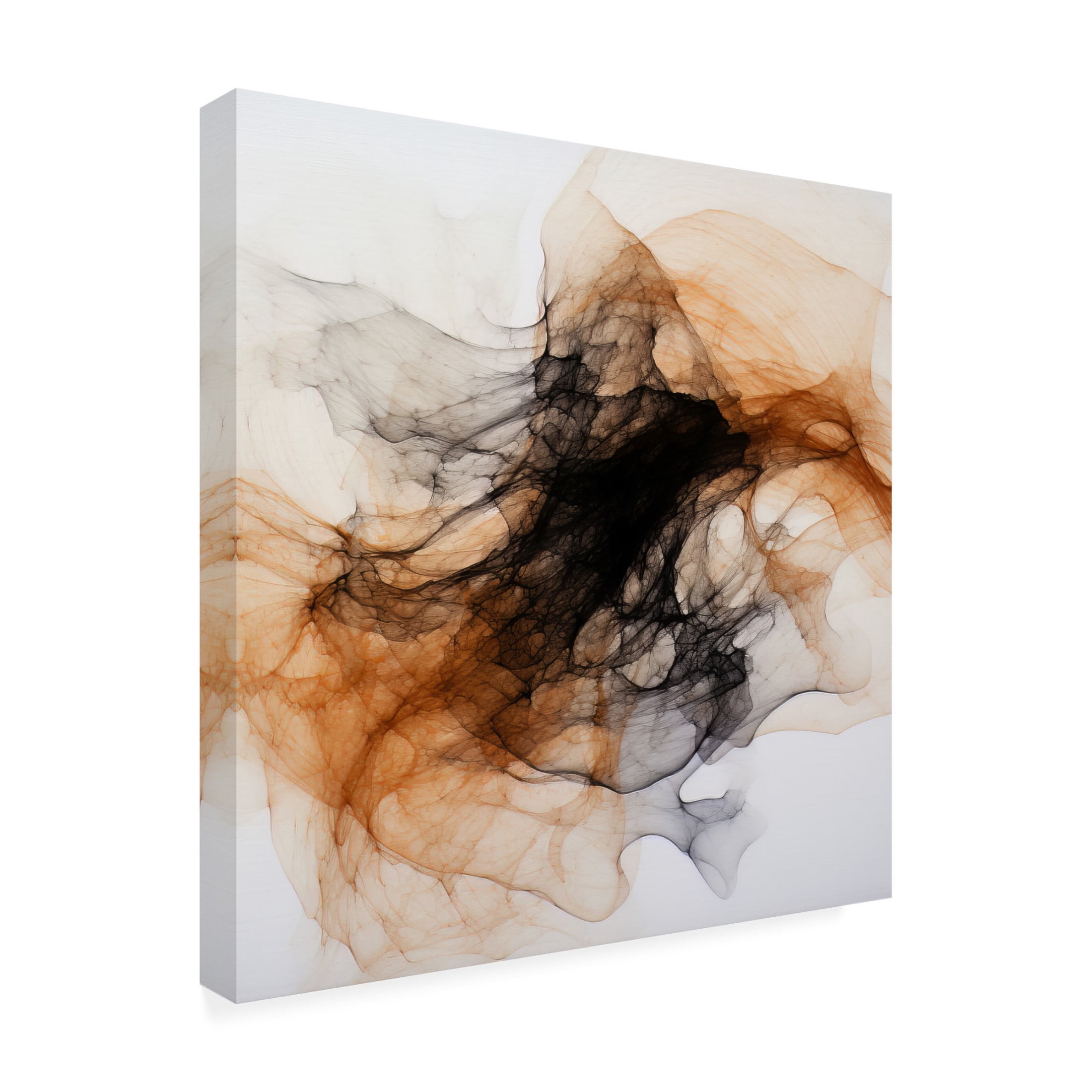 Canvas Wall Art - Bilge Paksoylu 'Dreamy Ink 3' Wall Art for Living Room, Bedroom, or Office D?cor by Trademark Fine Art - 14 x 14 Inches