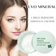 thumbnail image 4 of Polvo Mineral Cuidado Facial Translúcido Maquillaje Fijado 3Pz, 4 of 8