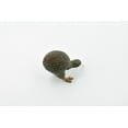 thumbnail image 4 of Kiwi Bird, Museum Quality, Rubber Bird, Hand Painted, Realistic Toy Figure, Model, Replica, Kids, Educational, Gift, 2 1/2" CH209 BB118, 4 of 7