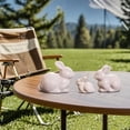 thumbnail image 6 of White Ceramic Bunny Figurines, Easter Bunny Decor, Modern White Rabbit Statues, Cute Mini Rabbit Ornaments for Home, Tabletop, Bookshelf, Farmhouse Easter Decorations, Spring Gifts, 6 of 6