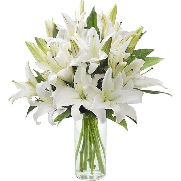 KaBloom : 5 White Lilies in vase, Next-Day Delivery, Gift for Every Occasion.