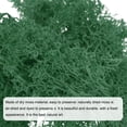 thumbnail image 4 of Uxcell 3pcs 1.26 OZ Moss Fake Craft Moss Artificial Moss Natural Preserved Moss for Craft Arts Floral (Forest Green), 4 of 6