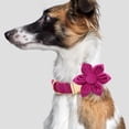 thumbnail image 3 of HQREA Female Dog Collar and Leash Set for Large Dogs Personalized Velvet Floral Pet Collar with Leash for Dogs, 3 of 6
