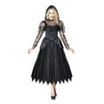 thumbnail image 1 of PARTYHOLIC DARK ENCHANTRESS COSTUME (LARGE), 1 of 1