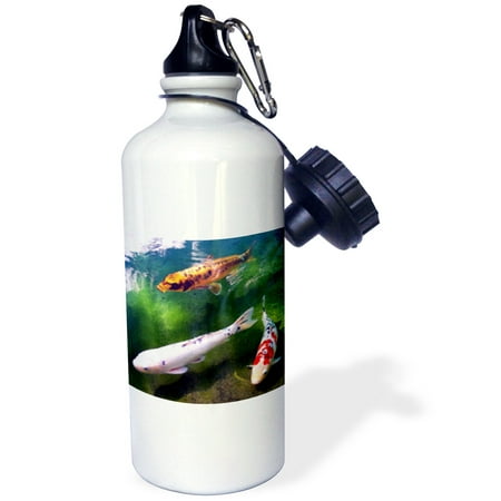 

3dRose Chinese Koi Carp Fish Sports Water Bottle 21oz