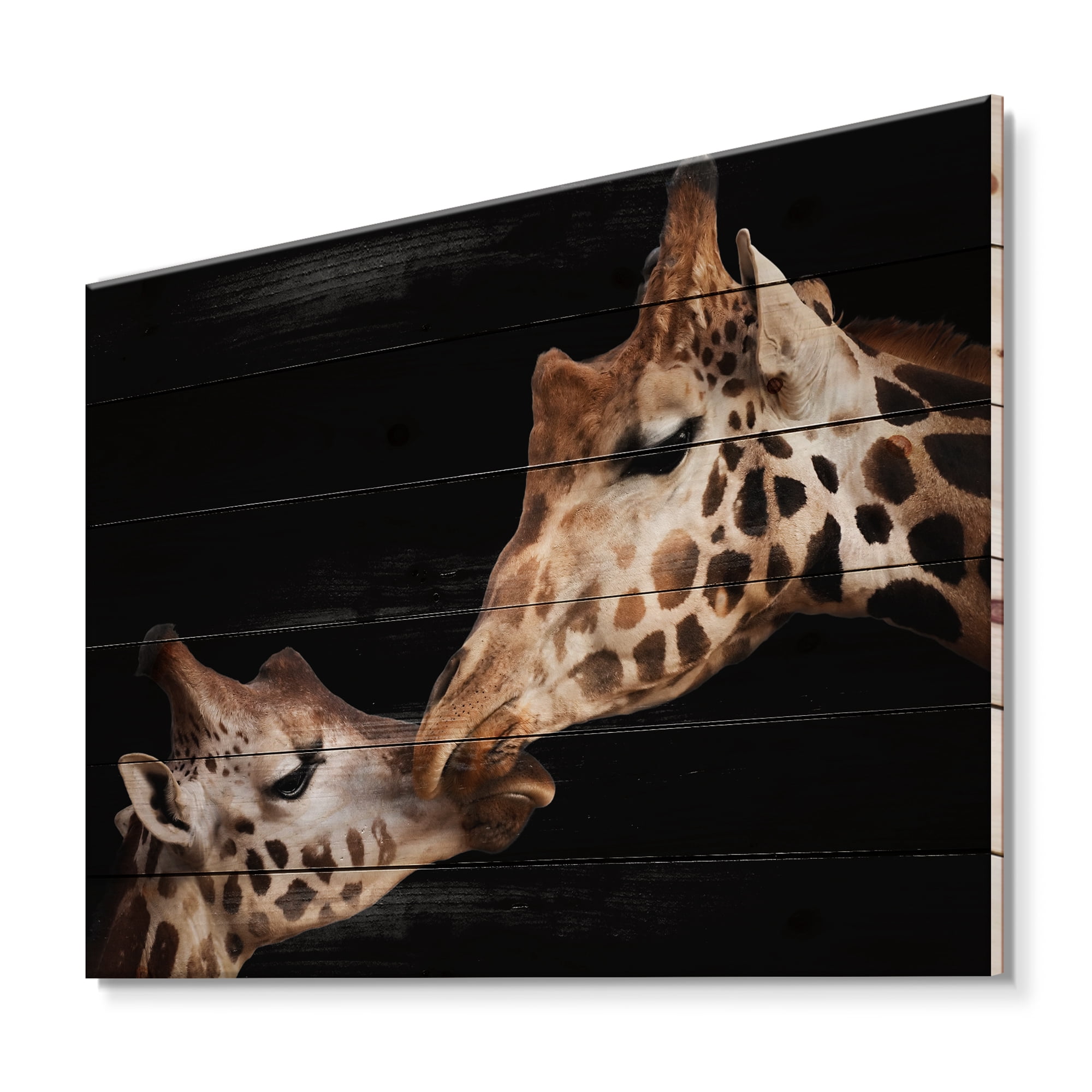 Designart 'Close UP Of Two Giraffes Kissing II' Farmhouse Print on Natural Pine Wood