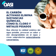thumbnail image 2 of Filtro para Cafetera Krups Compatible F088 OASI F088, 2 of 5