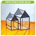thumbnail image 5 of NCYP Glass Enclosure with Vent Holes for Jumping Spiders - 7.5" x 4.9" x 9", Small Closed Front Opening Terrarium,  Home Decor Black (No Plants), 5 of 10