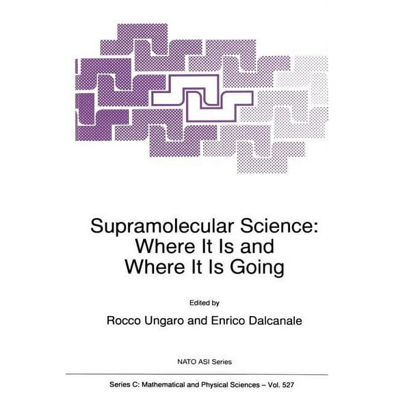 NATO Science Series C: Supramolecular Science: Where It Is and Where It Is Going, Book 527, (Paperback)