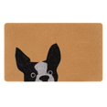 thumbnail image 1 of Giyblacko Tapis de Porte Intérieur et Extérieur Tapis de Porche Porte d'Entrée Tapis de Sol 40x60cm, 1 of 1