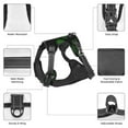 thumbnail image 6 of Fotbe Numbers Skull Pattern Dog Harness, No-Pull Pet Harness with 2 Leash Clips, Adjustable Soft Padded Dog Vest with Easy Control Handle for Large Dogs-Small, 6 of 6