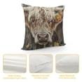 thumbnail image 4 of Qinduosi Highland Cow Art Farmhouse Throw Pillow Cover Decor Vintage Country Farmhouse Art for Gifts and Home Decor Throw Pillow Cover Inch, 4 of 5
