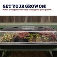 thumbnail image 4 of 4" Clear Plastic Vented Propagation Dome – Seedling and Cutting Germination Cover for 1020 Trays - 20 Packs, 4 of 7