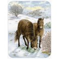 thumbnail image 1 of Carolines Treasures ASA2032LCB Exmoor Poneys Cheval Verre Planche à Découper-Grande, 1 of 1