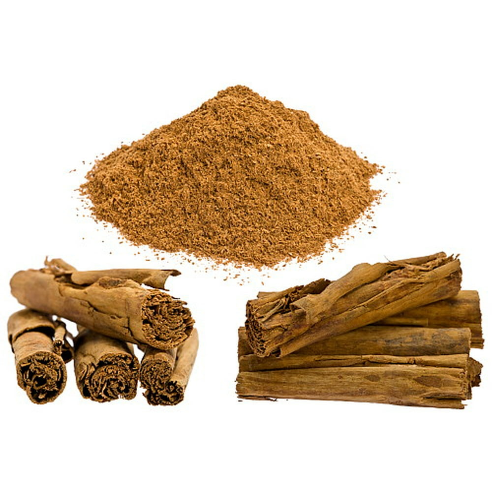 Ceylon Cinnamon Tree Cinnamomum verum Tropical/Patio/Indoors/Bonsai