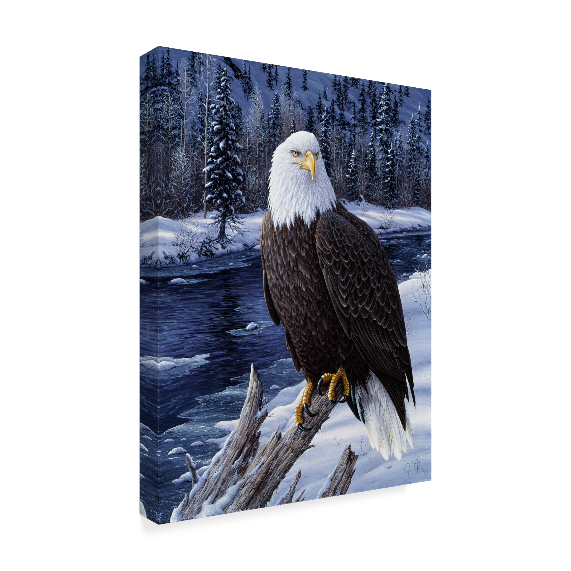 Trademark Fine Art 'River Watch' Canvas Art by Jeff Tift