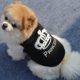 thumbnail image 4 of Ropa para mascotas Chaleco fino de poliéster de verano Ropa casual para mascotas en el hogar, 4 of 6