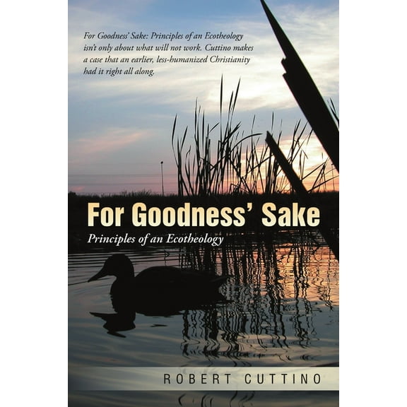 For Goodness' Sake: Principles of an Ecotheology, (Paperback)