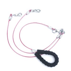 Leash pour chien Facile à nettoyer Leash d'entraînement pour chien Leash Pour les brochettes ou les chiots de dents