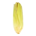 thumbnail image 2 of Elote blanco por pieza, 2 of 4
