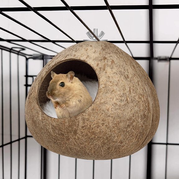 Beaupretty Birds Hanging Nest Handmade Coconut Shell Comfortable for Small Birds