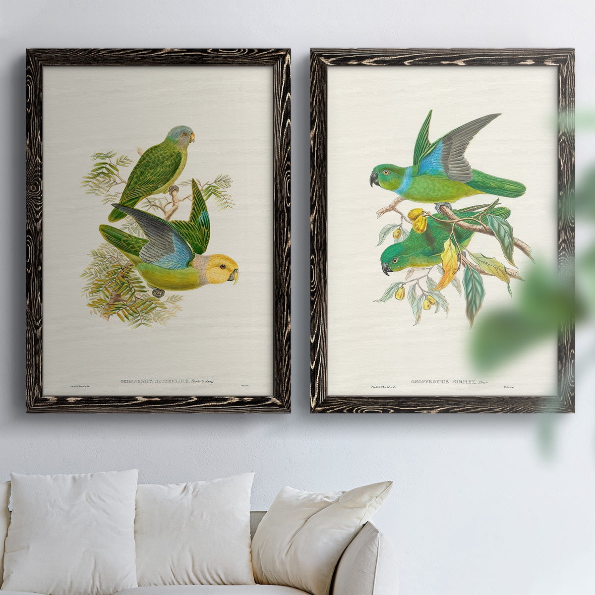 Lime & Cerulean Parrots I - Premium Framed Canvas 2 Piece Set - Ready to Hang