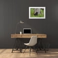 thumbnail image 3 of Grall, Don 18x13 White Modern Wood Framed Museum Art Print Titled - TN, Great Smoky Mts Black bear cub next to tree, 3 of 4