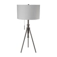 thumbnail image 1 of Furniture of America Coria Contemporary Metal 16" Table Lamp in Brushed Silver, 1 of 3