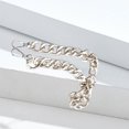 thumbnail image 4 of Bolsa gruesa de aleación plana, colgantes de hombro con cadena, moda para mujer, bolso cruzado, correa para el hombro, correa de repuesto, cinturones Plata 100cm Sunnimix Cadena de bolso, 4 of 8