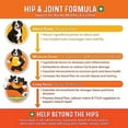 Bernie's Healthy Hips Daily Dog Hip and Joint Supplement 90 Soft